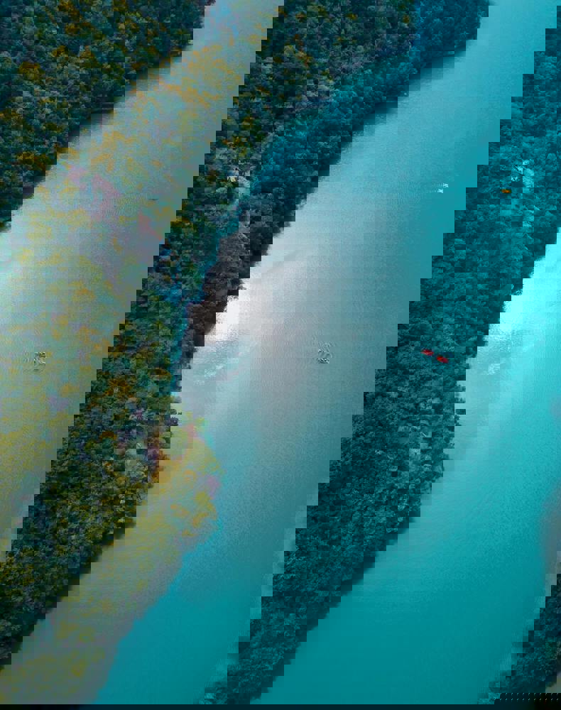 Pexels Funda Izgi 236637469 18140302